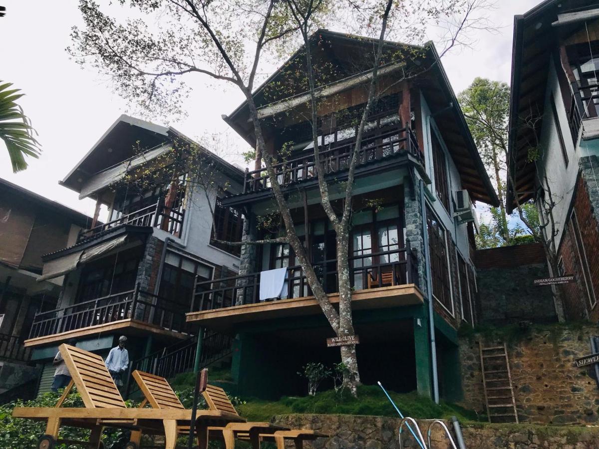 Tina Nature Villa เอลลา ภายนอก รูปภาพ